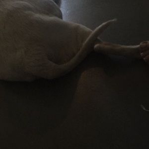 Meet your Posher, Nicholas